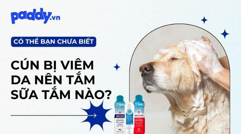 Chọn sữa tắm trị viêm da cho chó phù hợp