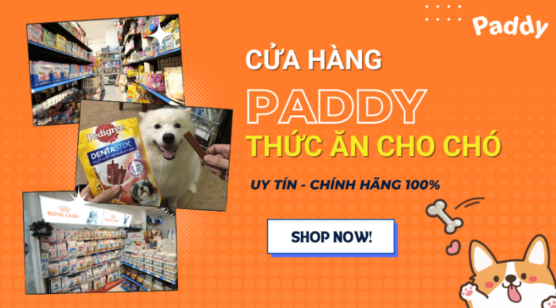 Cửa hàng bán đồ chó mèo uy tín với đa dạng sản phẩm