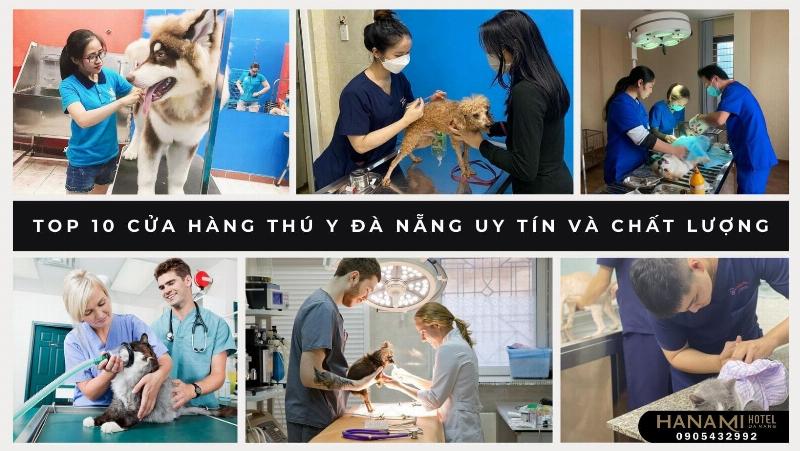 Cửa hàng thú cưng Đà Nẵng hiện đại, đầy đủ tiện nghi, chăm sóc thú cưng chu đáo