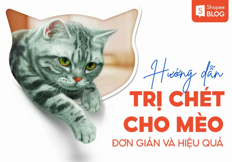 Dấu hiệu mèo bị bọ chét