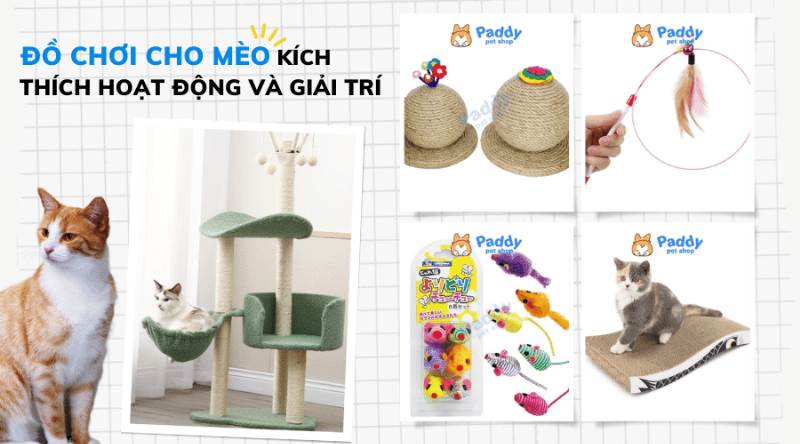 Đồ chơi cho chó mèo an toàn và kích thích phát triển