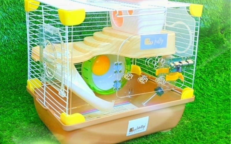 Đồ dùng nuôi hamster