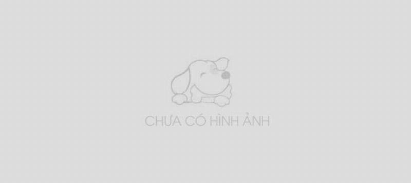 Hai con chó cái nhảy đực