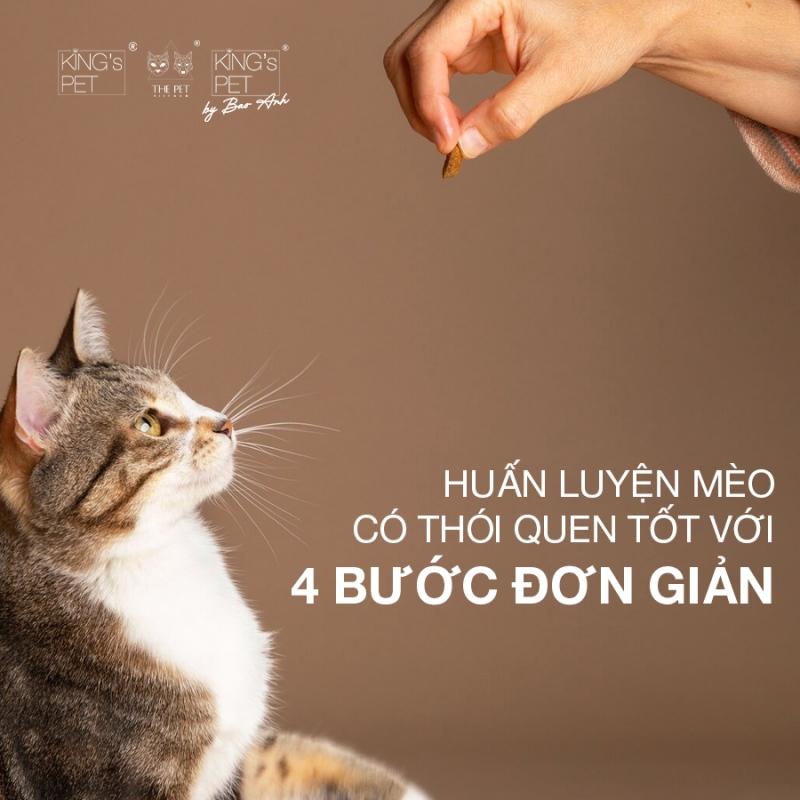 Huấn luyện mèo ăn uống