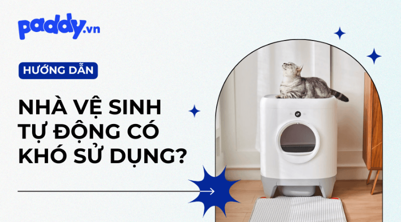 Hướng dẫn sử dụng nhà vệ sinh mèo