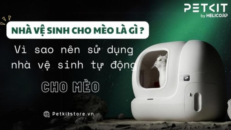 Lợi ích nhà vệ sinh mèo thông minh