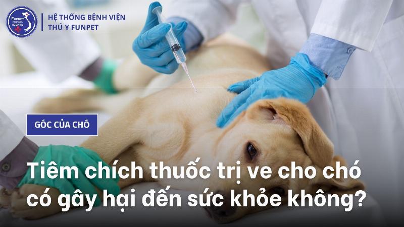 Lưu ý khi sử dụng thuốc tiêm trị ve chó