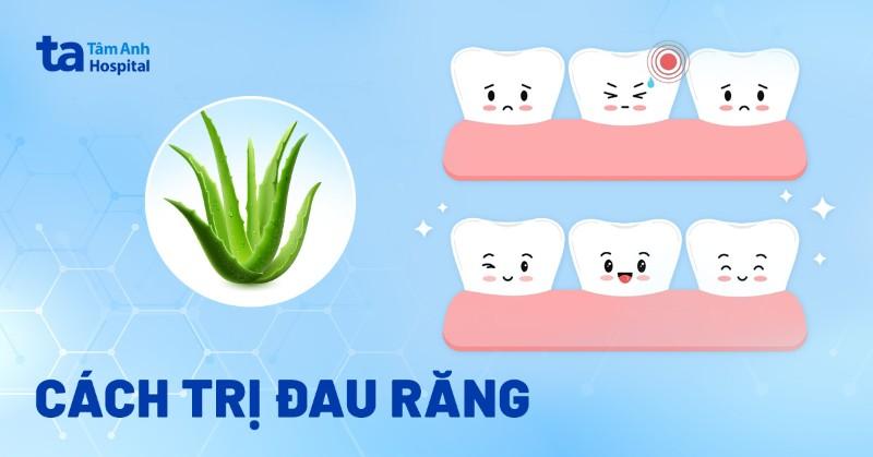 Mèo bị đau chân cần thuốc giảm đau