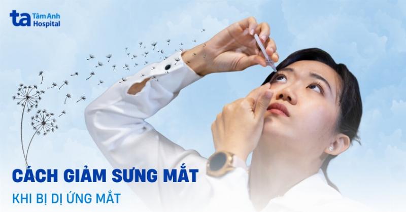 Mèo bị hói lông trên mắt do dị ứng