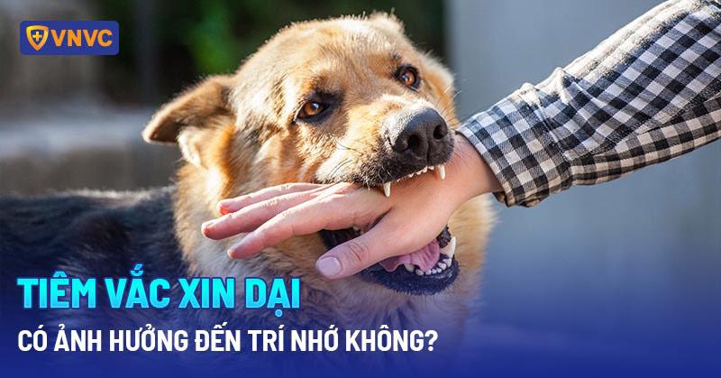 Mèo cần tiêm phòng hàng năm tại sao