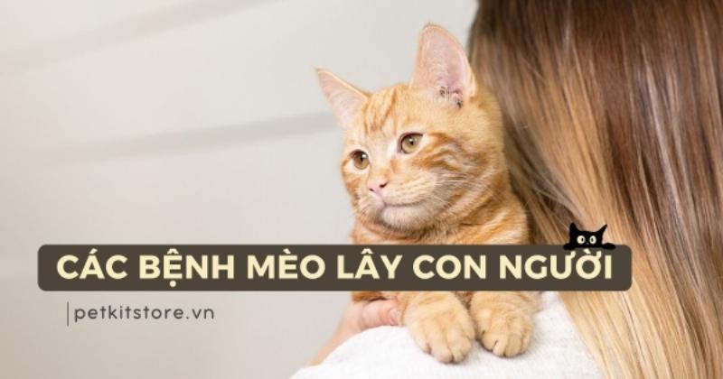 Mèo Cẩn Trọng Với Nước