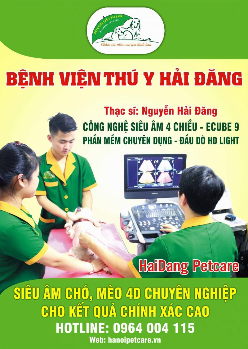 Mèo được kiểm tra sức khỏe