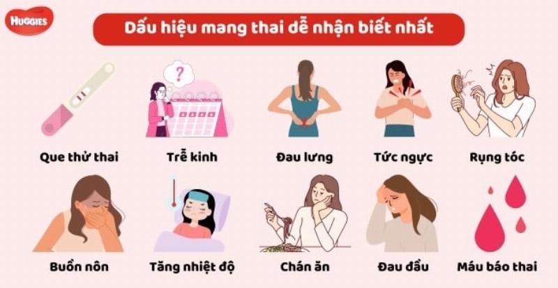 Mèo mang thai tuần đầu tiên: Dấu hiệu và cách chăm sóc