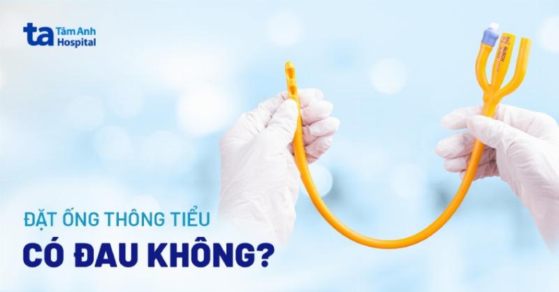 Mèo uống thuốc giảm đau với ống tiệt