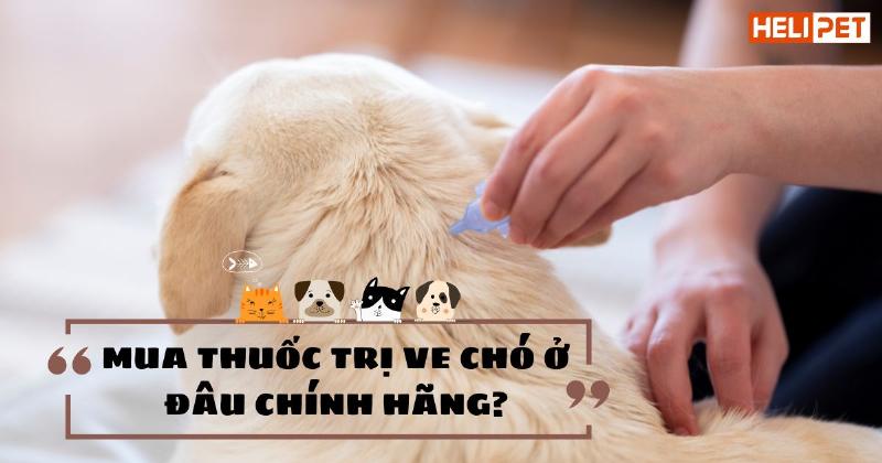 Mua thuốc diệt ve chó chất lượng ở đâu