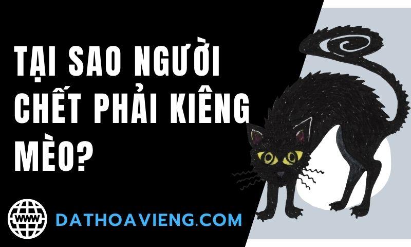 Nhau mèo đen và những lời đồn thổi