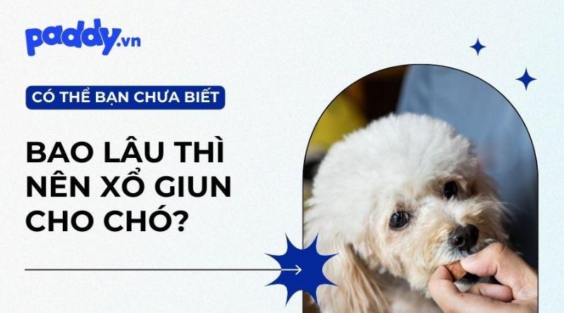 Phòng ngừa giun sán cho chó con