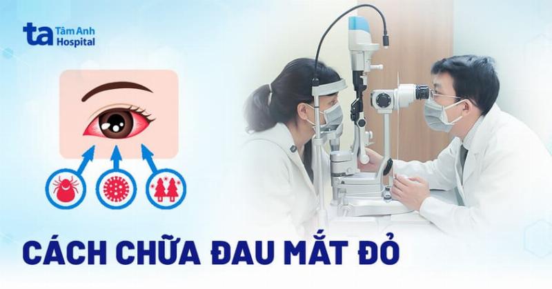 Rùa không mở được mắt do nhiễm trùng