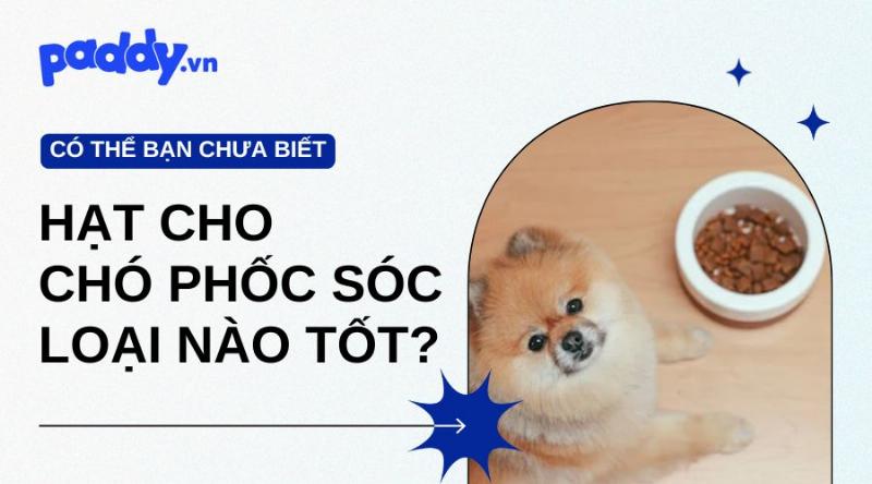 Sóc nuôi ăn hạt