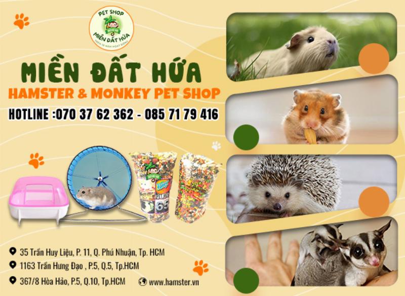 Tách hamster con khi nào