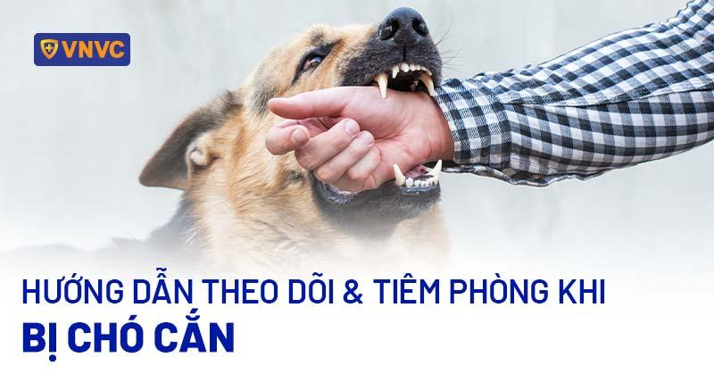 Theo dõi sức khỏe chó sau tiêm