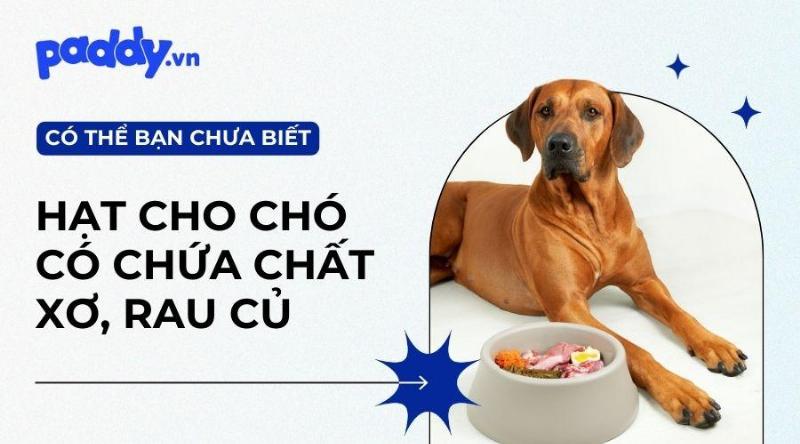 Thức ăn hữu cơ cho chó