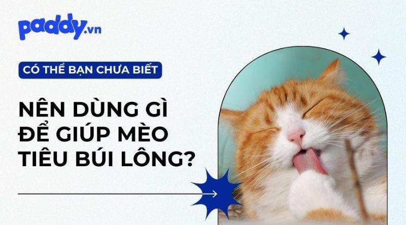 Thức ăn khô cho mèo tiêu búi lông