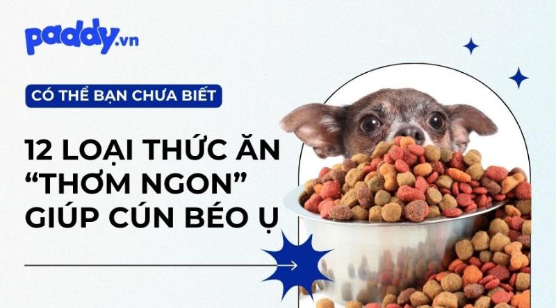 Thức ăn ướt cho chó cảnh thơm ngon