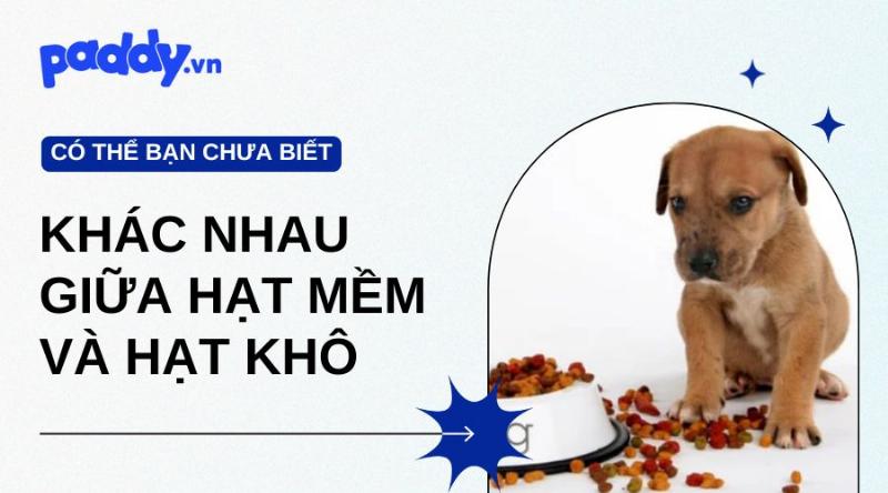 Thức ăn ướt cho chó hấp dẫn