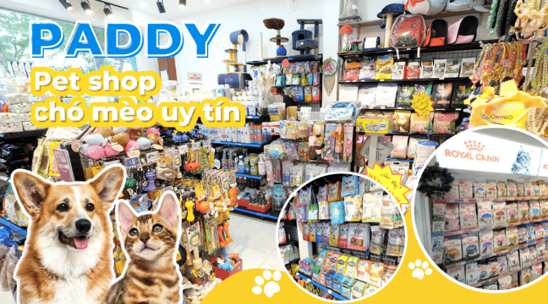 Các tiêu chí lựa chọn shop thú cưng uy tín