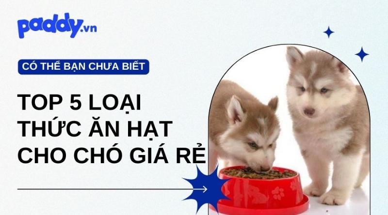 Tìm thức ăn cho chó giá rẻ