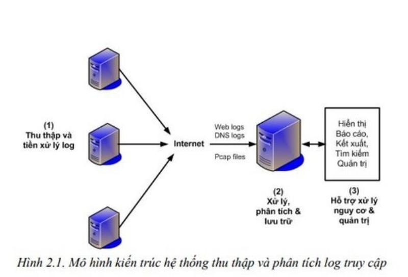 Vẹt phân bất thường