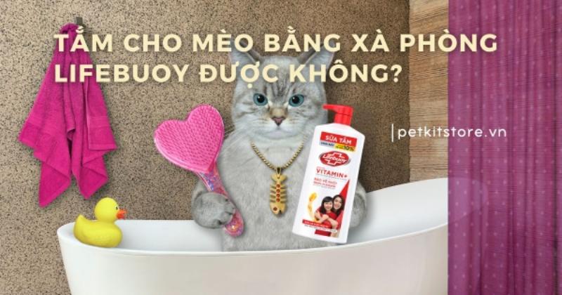 So sánh xà bông Lifebuoy và các loại xà bông khác cho chó