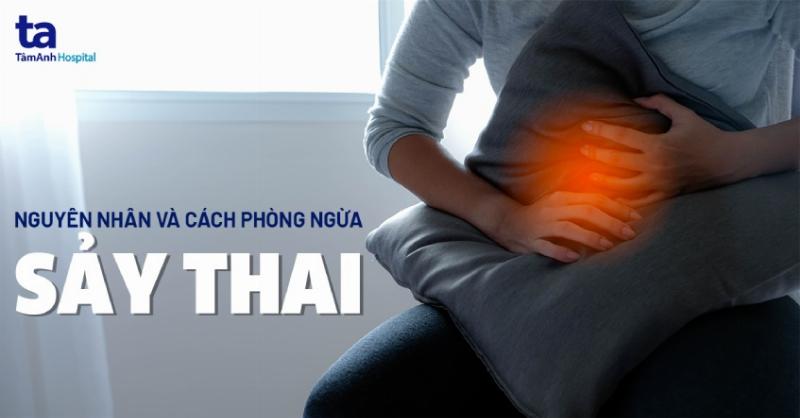 Chăm Sóc Chó Sau Sảy Thai