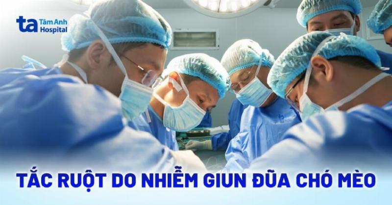 Đeo găng tay khi tiếp xúc với chó bị nấm da