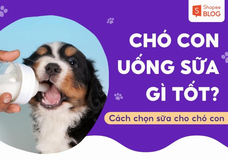 Chó Uống Sữa Vinamilk