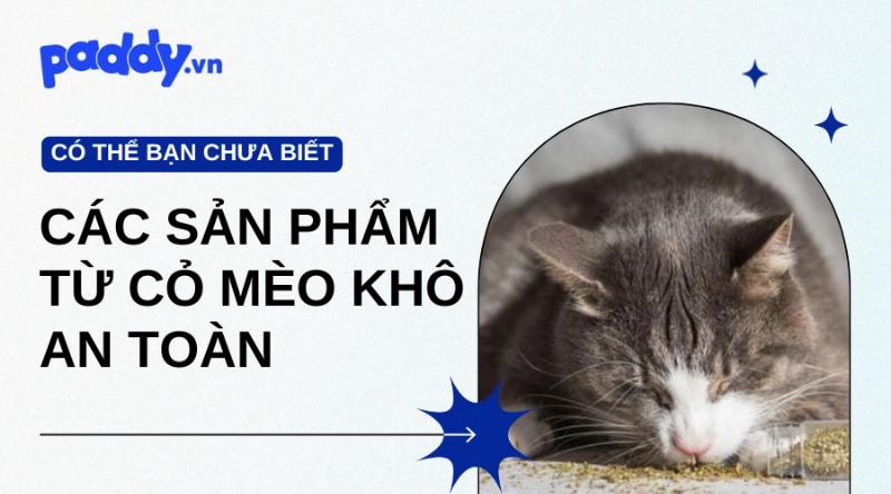 Đồ chơi chứa cỏ mèo khô