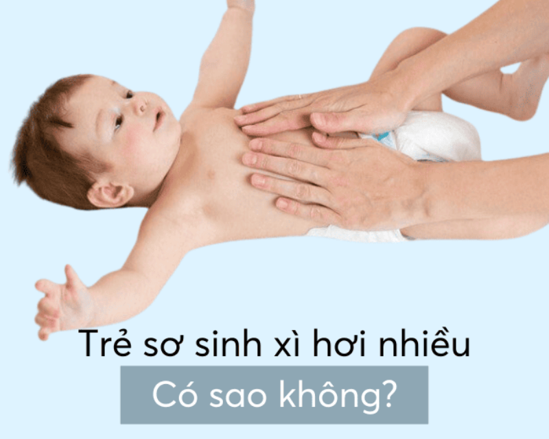 Mùi xì hơi của chó: Khám phá nguyên nhân