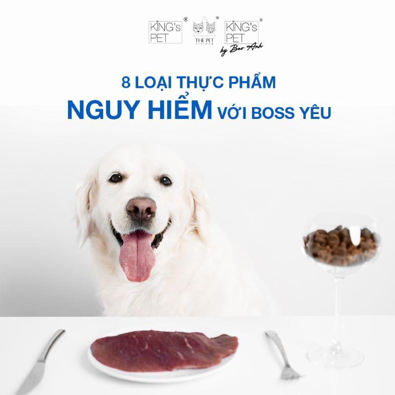 Những Thực Phẩm Cần Tránh Cho Chó