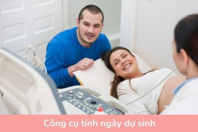 Tính tuổi chó bằng công cụ trực tuyến