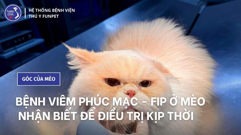 Xét Nghiệm Máu FIP