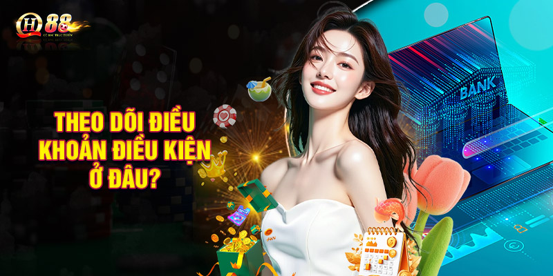 Theo dõi điều khoản điều kiện ở đâu?