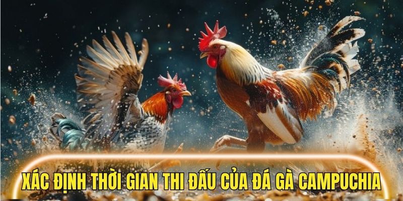Cách xác định thời gian thi đấu của đá gà campuchia